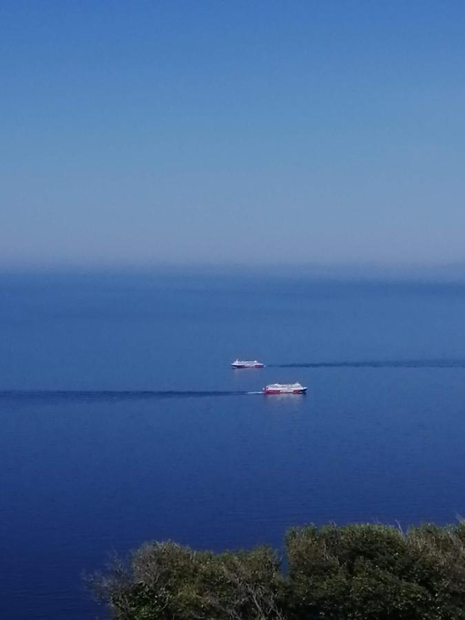 Aegean Deep Blue Andros Ano Aprovato Apartamento Exterior foto